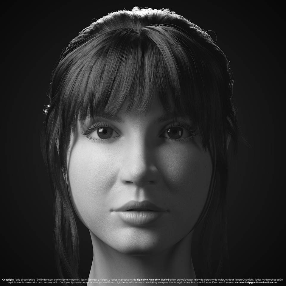 pigmalion animation studio