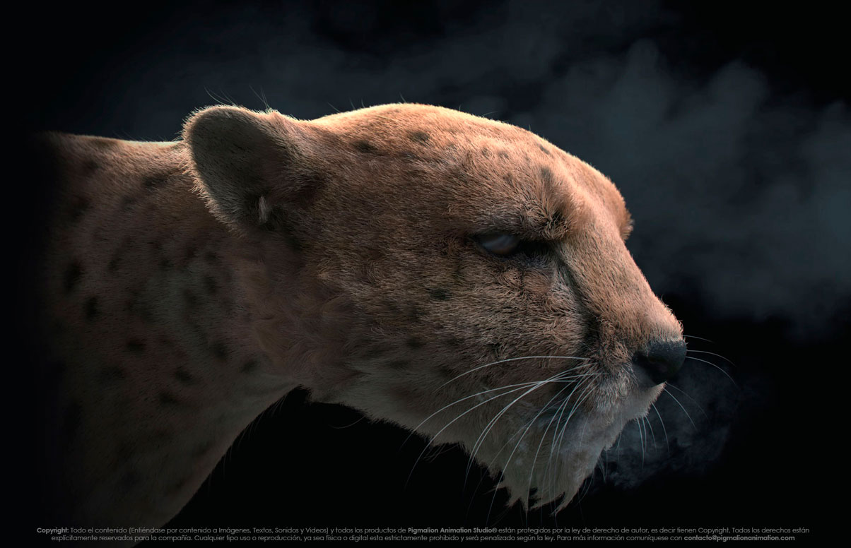 estudio de animacion colombia