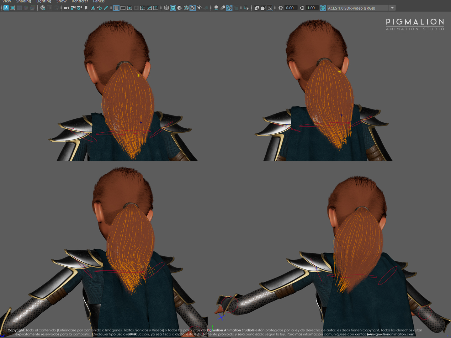 pigmalion animation studio