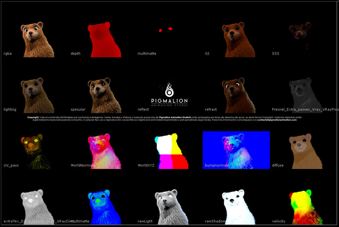 pigmalion animation studio