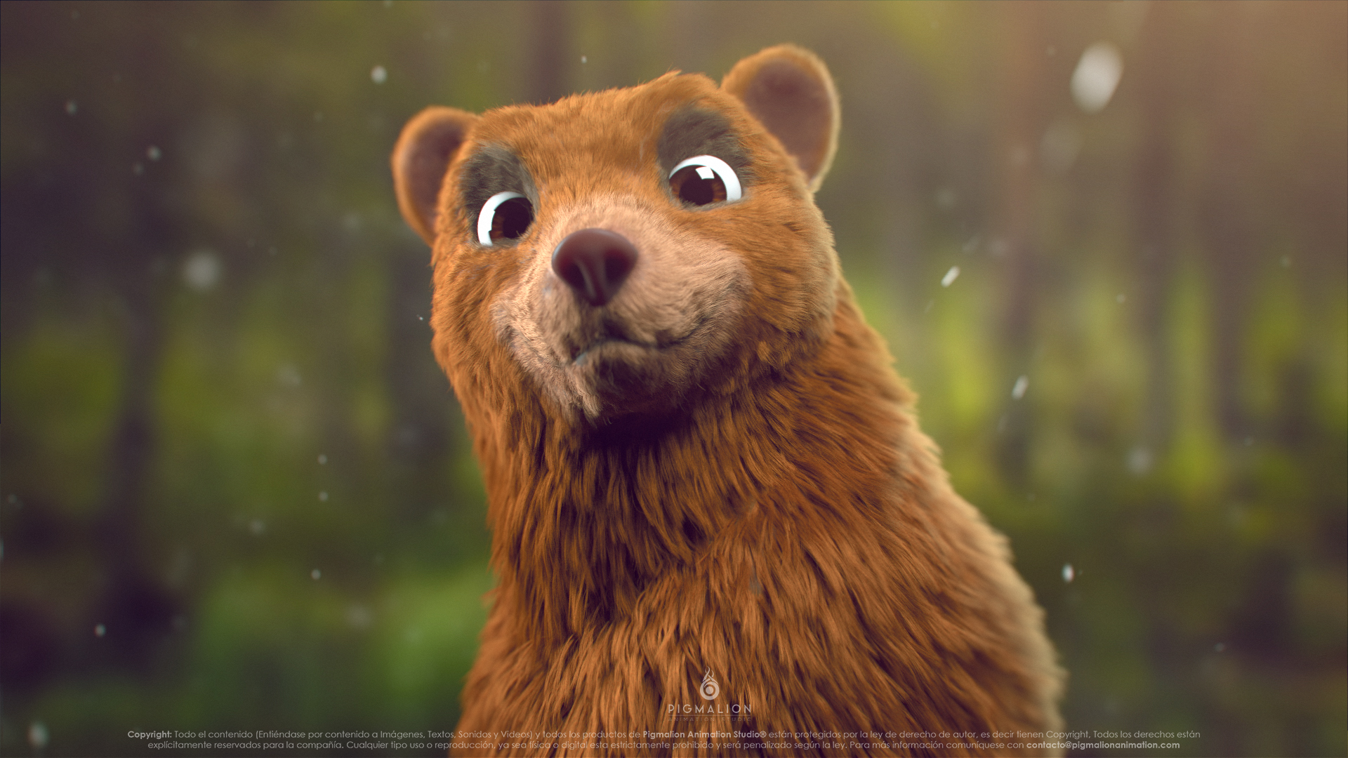 pigmalion animation studio